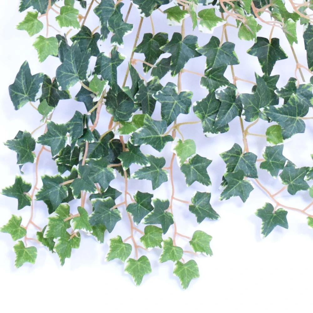 faux green white ivy leaf plant