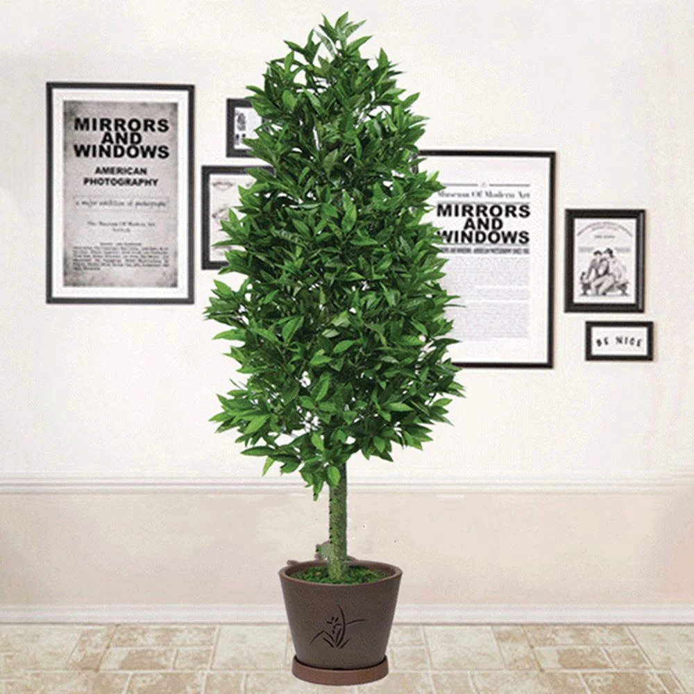 artificial bay tree