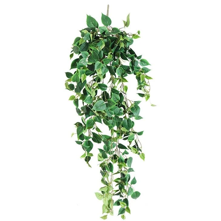Artificial Scindapsus Aureus plants