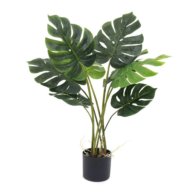 Millised on simuleeritud monstera puu eelised