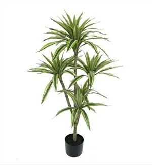 Kunstlik Dracaena Fragransi taim